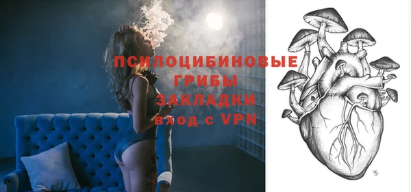 амфетамин Белокуриха