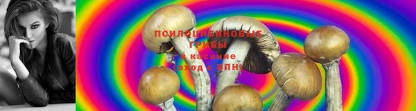 мет Беломорск