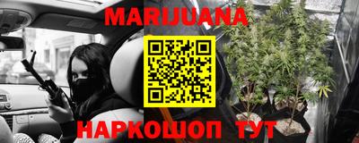 трава Бийск