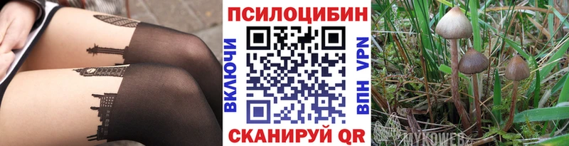 Галлюциногенные грибы мухоморы  darknet формула  Благодарный  закладки 