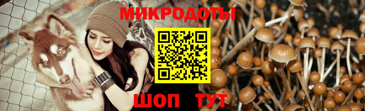 Благодарный  Галлюциногенные грибы ЛСД  Вход с VPN 