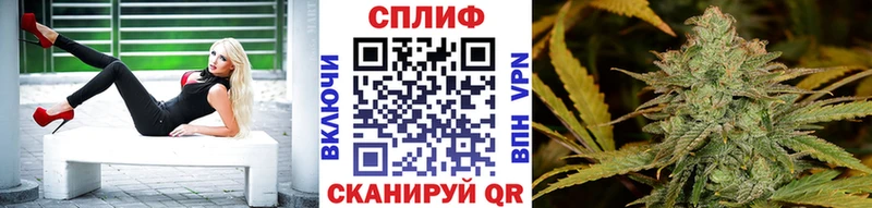 мориарти официальный сайт  Благодарный  Бошки марихуана конопля  kraken ONION 